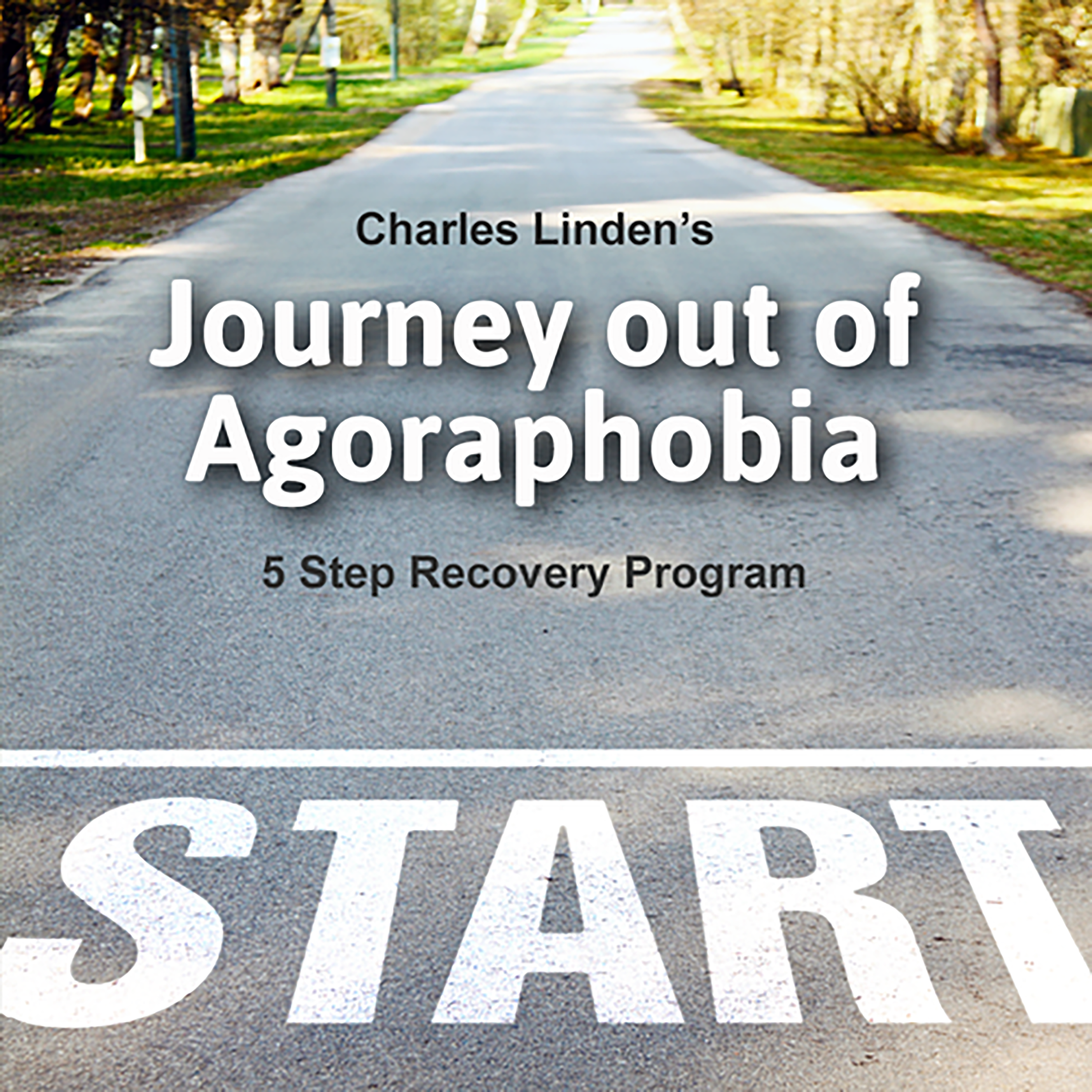 Agoraphobia Recovery
